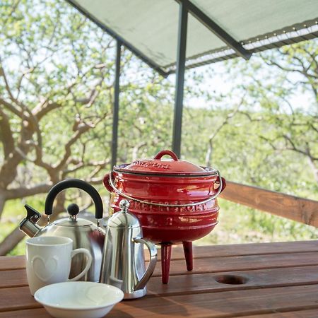 Etosha Safari Camping2Go Окаукуехо Стая снимка